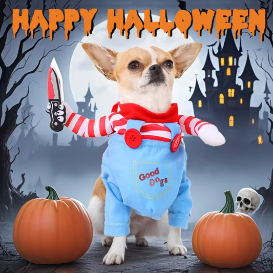 Scary Killer Doll Dog Costume for Halloween